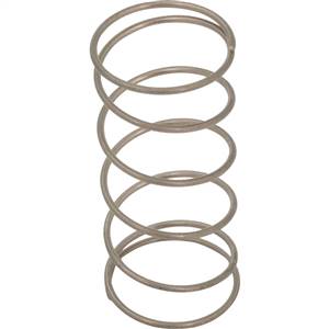 Chicago Faucets - 668-013JKNF - RETURN Spring