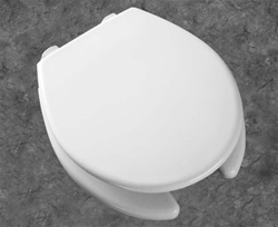 Bemis 2L2055T Toilet Seat