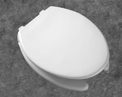 Bemis 7850TJDG Toilet Seat