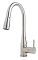 Symmons S-2302-STS-PD Sereno Kitchen Faucet