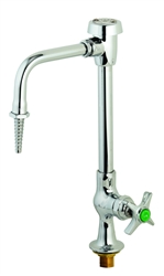 T&S Brass - BL-5707-01 - Lab Faucet, Single Temperature, Vandal Resistant, Rigid Vac. Breaker Nozzle, Serrated Tip