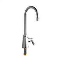Chicago Faucet 350-VPAXKABCP Pantry Sink Faucet
