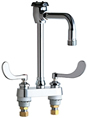 Chicago Faucets - 895-317GN8BVBE2-2CP Hot and Cold Water Sink Faucet
