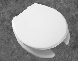 Bemis 7750TDG Toilet Seat