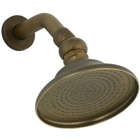 Cifial 289.880.V05 - Sprinkling Can shower head & arm
