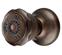 Danze D460165BR - Two-Function Wall Mount Body Spray - Tumbled Bronze