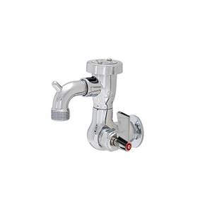Fisher 55301 - SILL FAUCET WITH VACUUM BREAKER & LEVER HANDLESTAINLESS STEEL