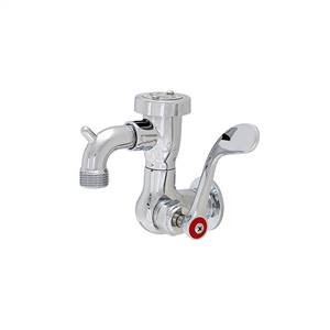 Fisher 55328 - SILL FAUCET WITH VACUUM BREAKER & WRIST HANDLESTAINLESS STEEL