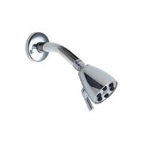Chicago Faucets - 600-ACP - Shower head and Arm