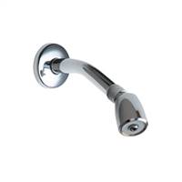 Chicago Faucets - 620-ACP - Shower Head and Arm