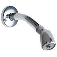 Chicago Faucets 602-AVPCP - Vandal Proof Shower Head with Arm, Flange, and Ball Joint