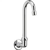 Chicago Faucets - 629-E29ABCP - Wall Mounted Spout