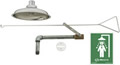 Chicago Faucets 8101-NF - Concealed Safety Drench Shower with Stainless Steel Pull Rod