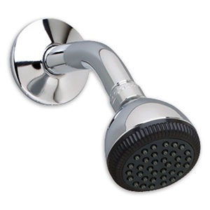 American Standard 8888.075 - "Easy Clean" Showerhead