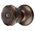 Danze D460165BR - Two-Function Wall Mount Body Spray - Tumbled Bronze