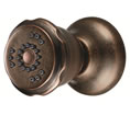 Danze D460165RBD - 2 Function Wall Mount Body Spray - Oil Rubbed BronzeD