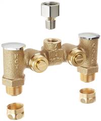 Fisher 2970-2 - 3/8-inch Temperature Mixing Valve for Single Supply Fittings