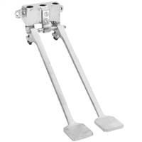Fisher 48070 - Stainless Steel Dual Foot Pedal Valve, Wall Mounted
