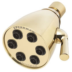 Speakman S-2252-PB - Anystream® Icon 48 Spray Showerhead, Polished Brass