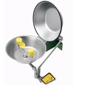 Speakman SE-490-CV - Round bowl eye/face wash. Wall mounted, stainless steel bowl, equipped with stainless steel cover.