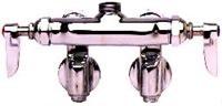T&S Brass - B-0240-LN - Double Pantry Swivel Faucet, Wall Mount, Adjustable Centers, Integral Stops, Less Nozzle.