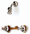 T&S Brass - B-1060 - Mixing Valve with Adjustable Shower Head, 1/2-inch NPT Female Inlets and Top Outlet