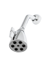 T&S Brass - B-1091 - Shower Head with Adjustable Ball Joint, 1/2-inch NPT Male Arm and Adjustable Flange