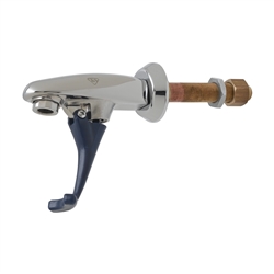 T&S Brass - B-1202 - Glass Filler, Wall Mount, 3/8-inch NPT Male Supply Nipple & Lock Nut, Adjustable Flange