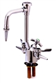 T&S Brass - BL-6005-02 - Lab Fixture, Gas and Water, 2 Gas Cocks, 6-inch Vac. Breaker Gooseneck w/Serrated Tip