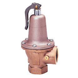 Watts Water Safety & Flow Control Relief Valves Replacement 740